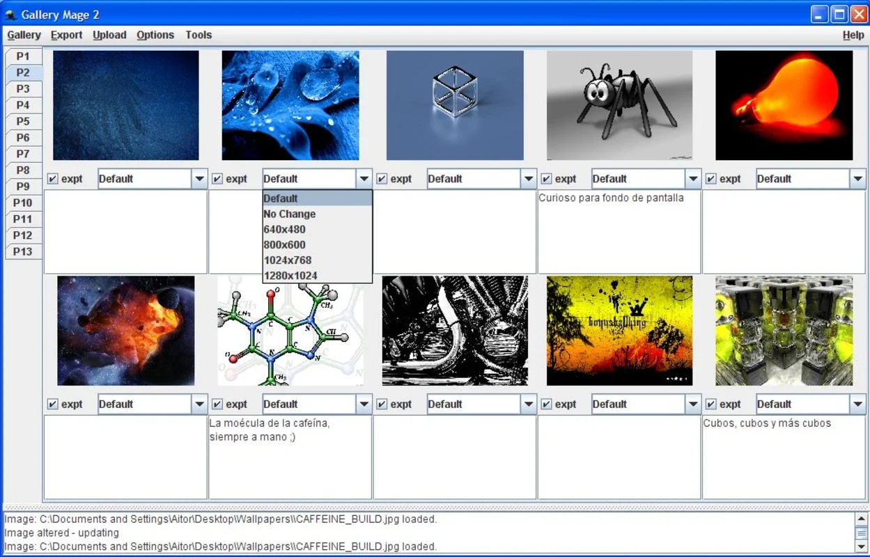 Gallery Mage for Windows: Efficient Picture Management and Sharing