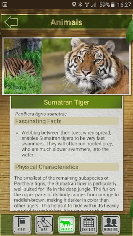 San Francisco Zoo for Android: Enhancing Your Zoo Adventure