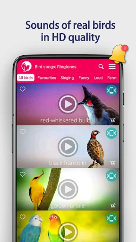 Bird Songs: Ringtones for Android - Enjoy Nature's Melodies