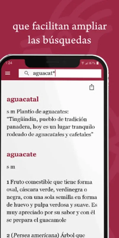 Diccionario del Español de Méx for Android: Comprehensive Mexican Spanish Dictionary