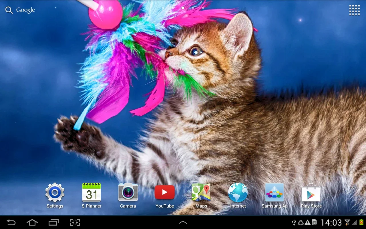 Cat Live Wallpaper for Android - Bringing Tranquility to Your Screen