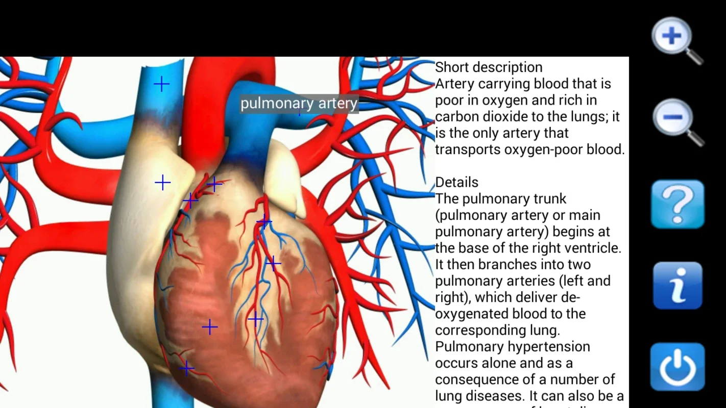 Visual Anatomy Free for Android - Enrich Your Learning