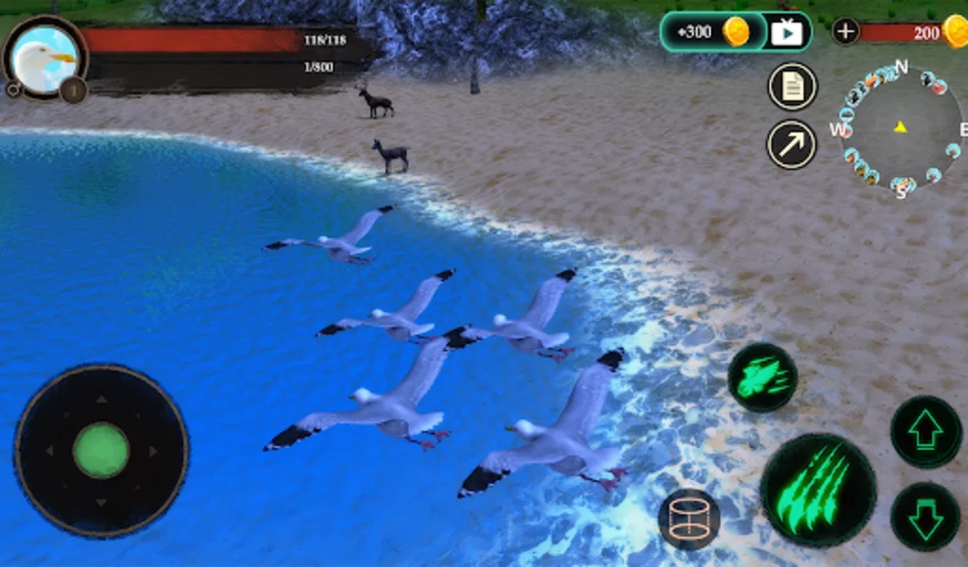 The Seagull for Android - Immersive Wildlife Sim