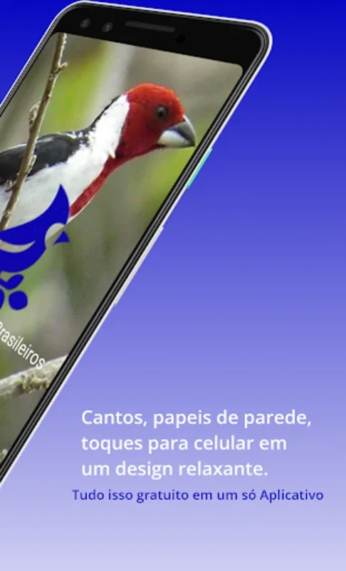 Brazilian's birds sounds for Android - Immerse in Authentic Avian Tunes