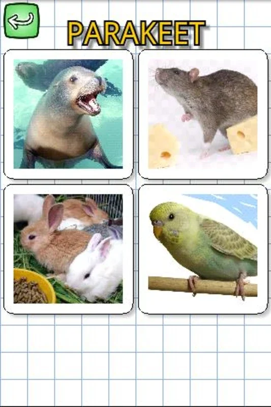 Animals in English for Android - Fun Educational App