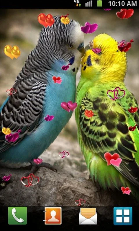 Love Birds Live Wallpaper for Android - Enhance Your Screen