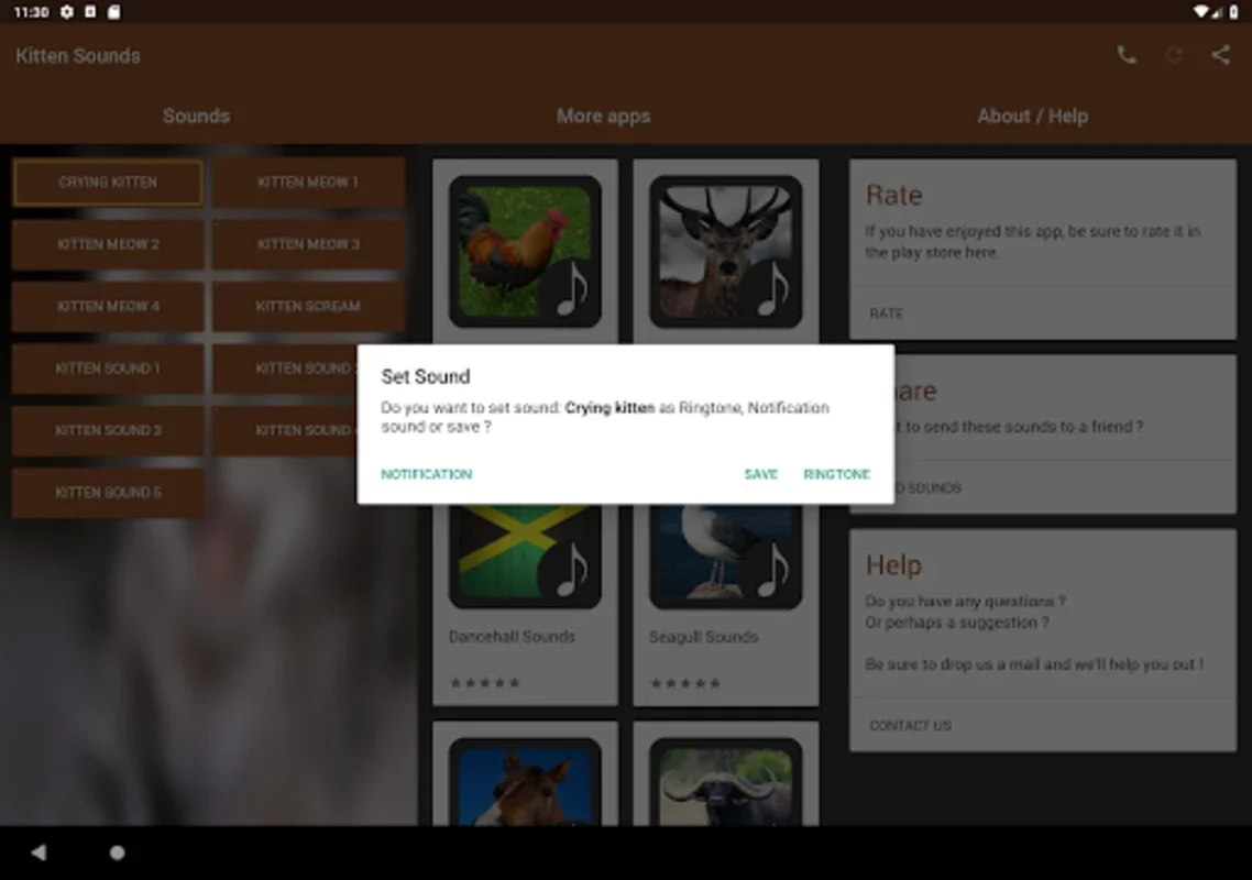 Kitten Sounds for Android: Enhance Cat Interaction