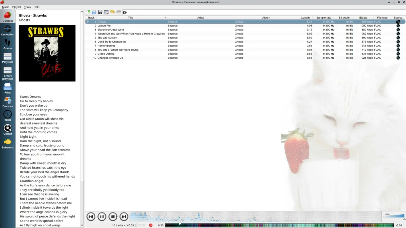 Strawberry Music Player for Mac - Organize and Play Music