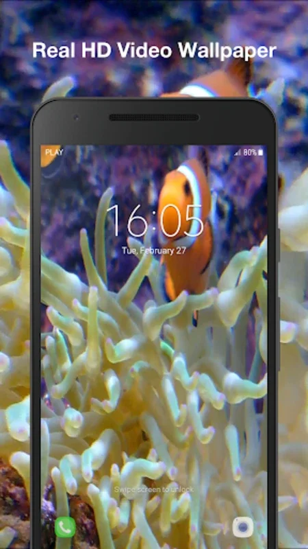 Real Fish Live Wallpaper for Android - Enhance Your Device