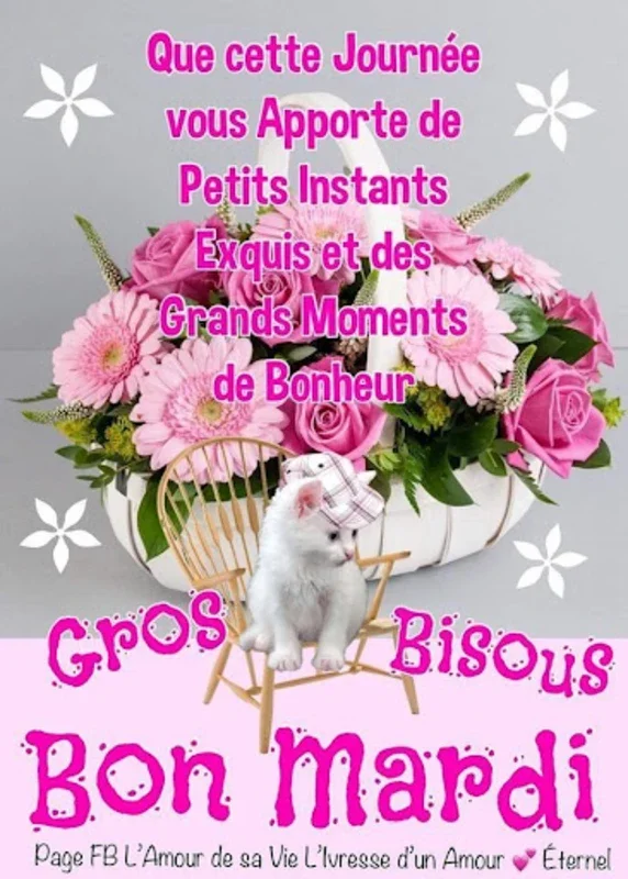 Bonjour Bonsoir Bonne Nuit for Android - Fresh Greetings Daily