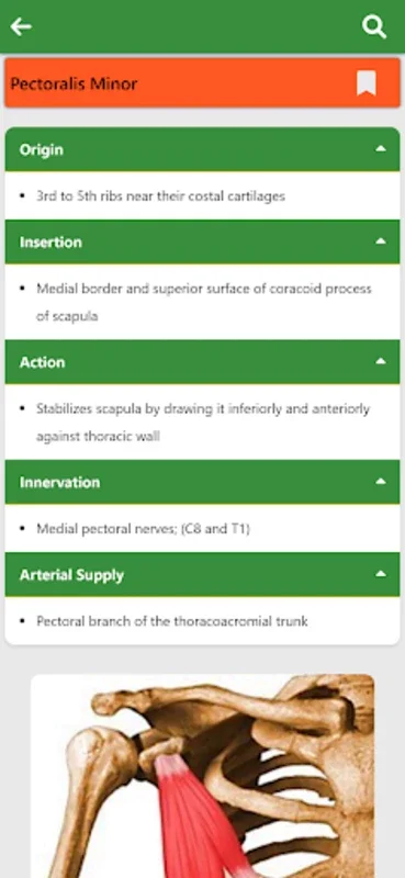 Orthopedic Anatomy for Android: Enhance Your Knowledge