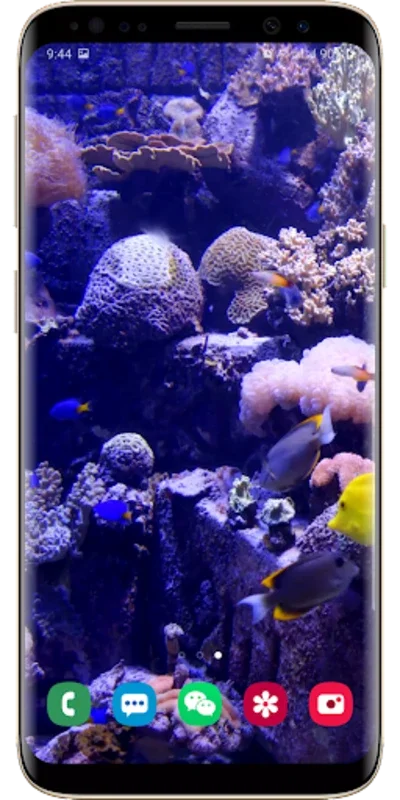 Real Aquarium Live Wallpaper for Android - No Downloading Needed