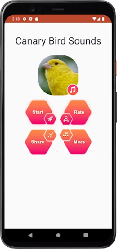 Canary Bird Sounds for Android - Experience Serene Melodies