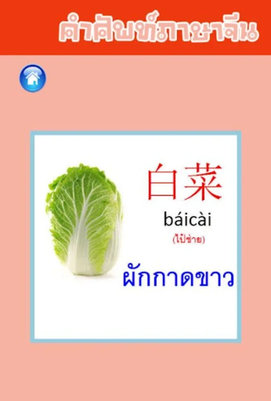 คำศัพท์ภาษาจีน for Android - Enhance Your Chinese Skills