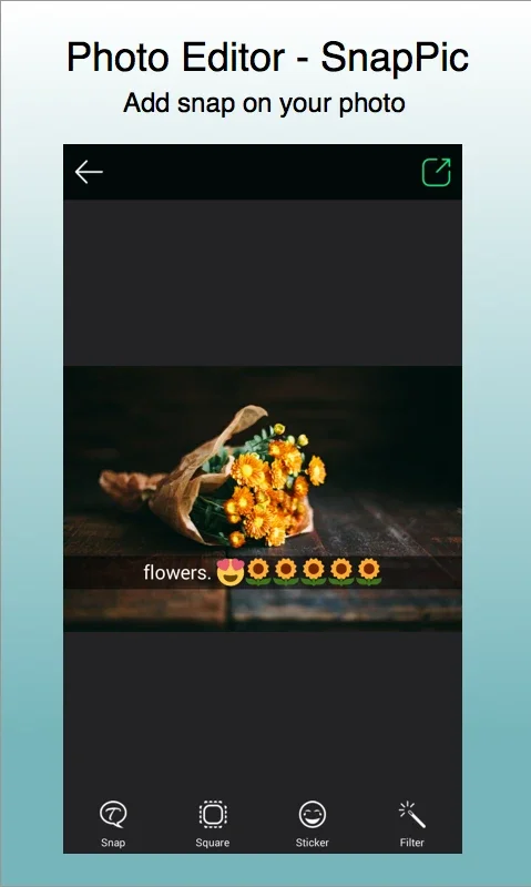 SnapPic for Android: A Feature - Rich Photo - Editing App