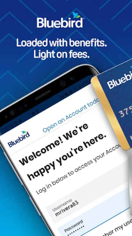 My Bluebird for Android - Manage Your Finances Easily
