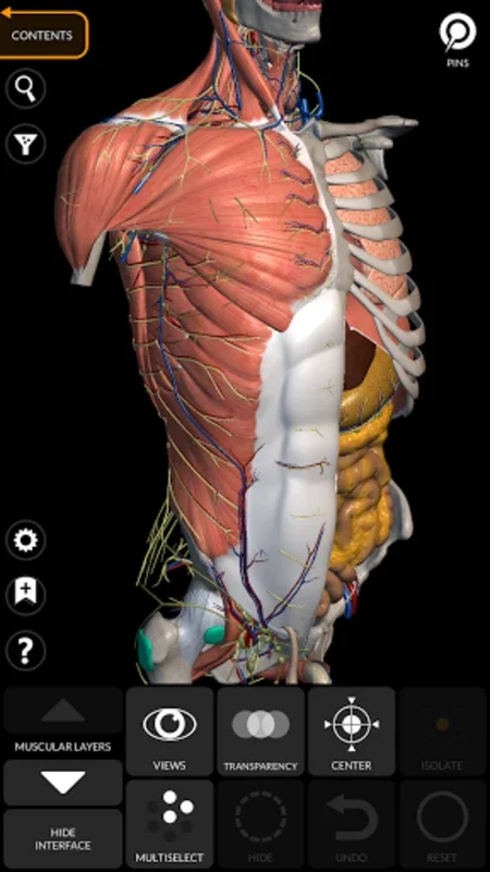 Anatomy 3D Atlas: Interactive 3D Human Anatomy for Android