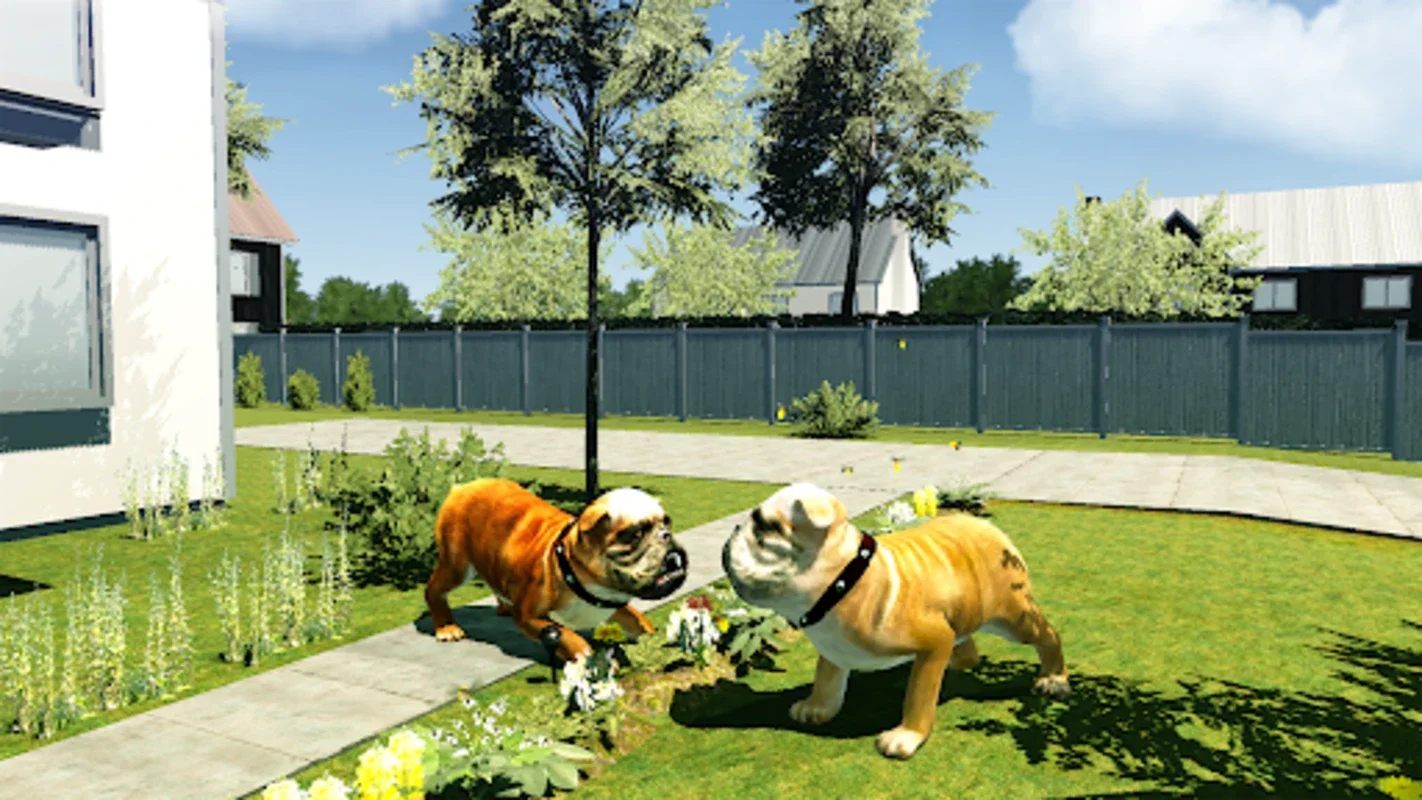 Bull Dog Simulator for Android - Immersive Adventures