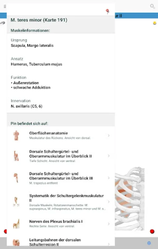 PROMETHEUS LernKarten for Android - Enhance Your Anatomy Learning