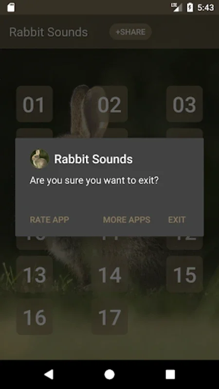 Rabbit and Bunny Sounds for Android - Enhance Pet Care