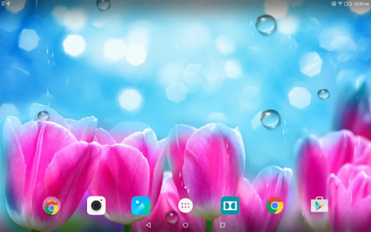 Spring Flower Live Wallpaper for Android - Enhance Your Screen