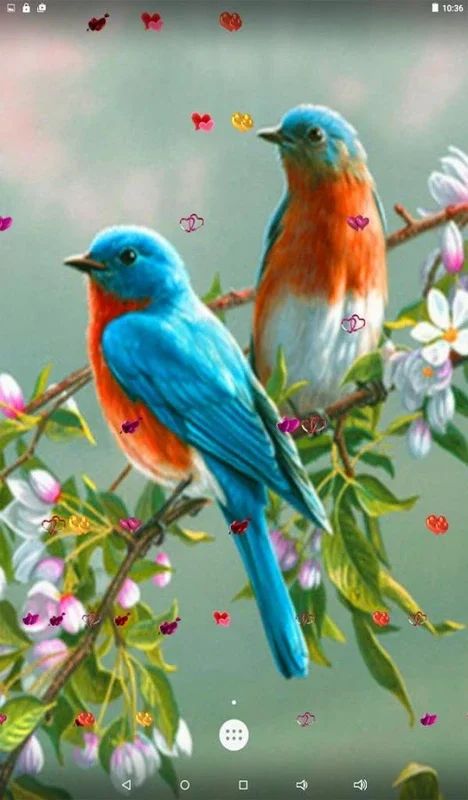 Love Birds Live Wallpaper for Android - Enhance Your Screen