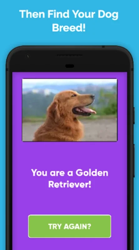 What Type Of Dog Are You? for Android - Reveal Your Inner Dog Breed