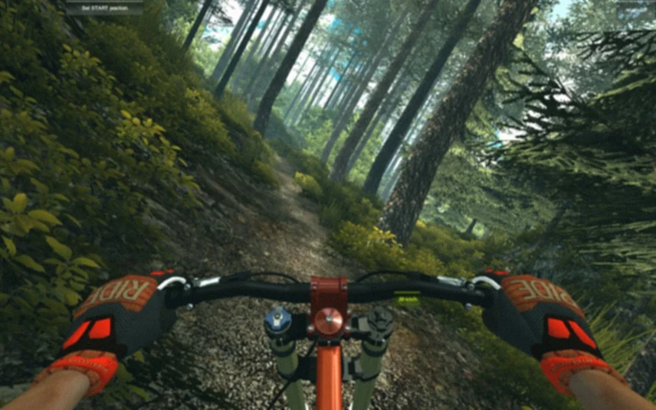 MTBFreeride for Windows - Experience Realistic Mountain Biking