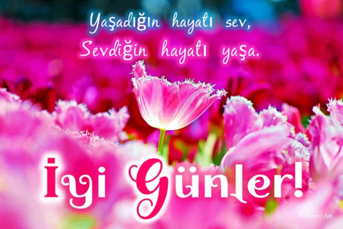 Good Morning Good Night in Turkish for Android - Share Cultural Greetings