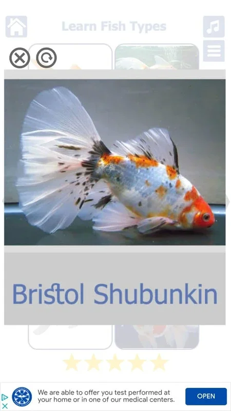 Fish Types for Android: Explore Diverse Fish Species