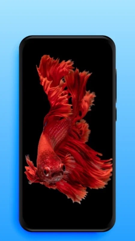 Video Live Wallpapers for Android - Enhance Your Phone with HD Animations