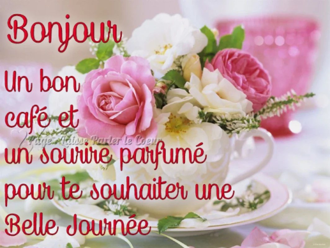 Bonjour Bonsoir Bonne Nuit for Android - Fresh Greetings Daily