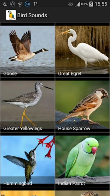 Bird Sounds for Android - Enhance Your Birding Skills