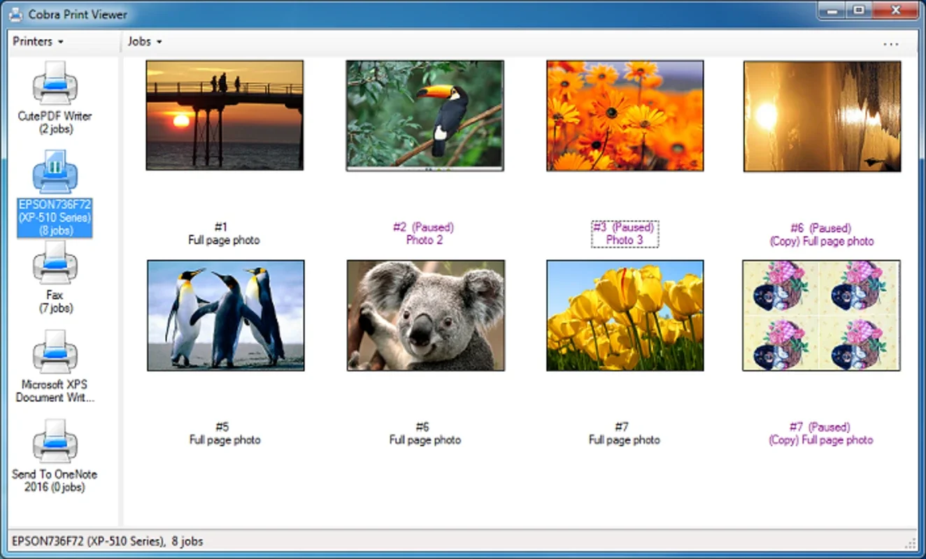 Cobra Print Viewer: Effortless Print Job Preview for Windows