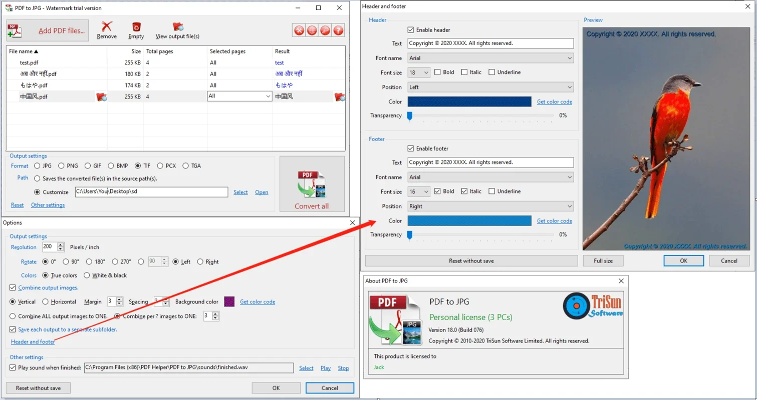 PDF to JPG for Windows - Convert PDFs to Images Easily