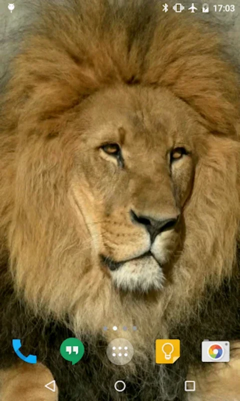 Lion HD Live Wallpaper for Android - Download the APK from AppHuts