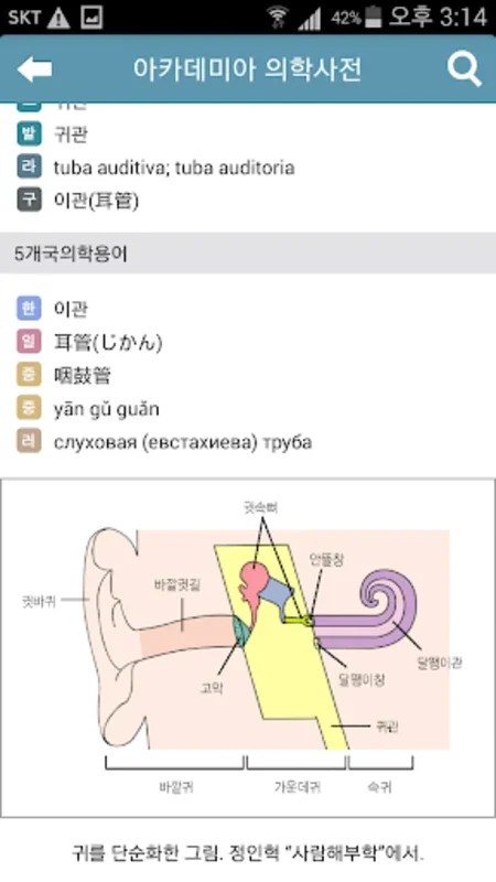 아카데미아 의학사전 - 번들앱 for Android: Rich Medical Info