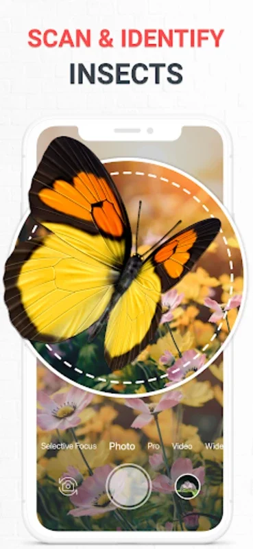 Insect Identifier for Android - Download the APK from AppHuts