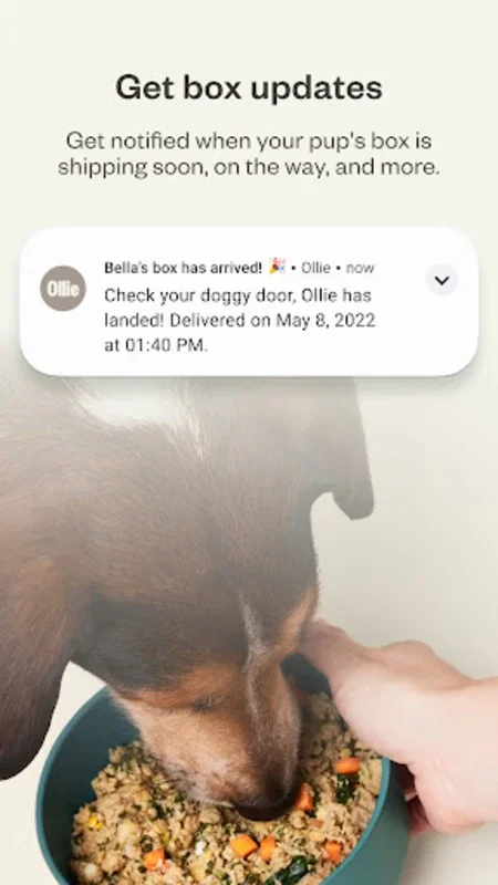 Ollie for Android: Simplify Dog Food Subscription Management