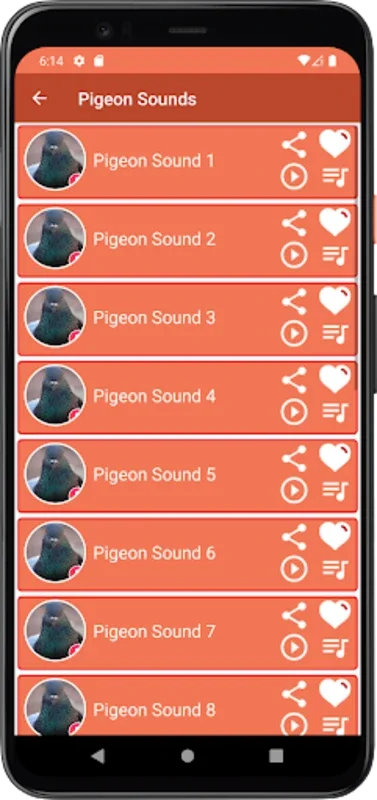 Pigeon Sounds for Android - Calming Auditory Delight