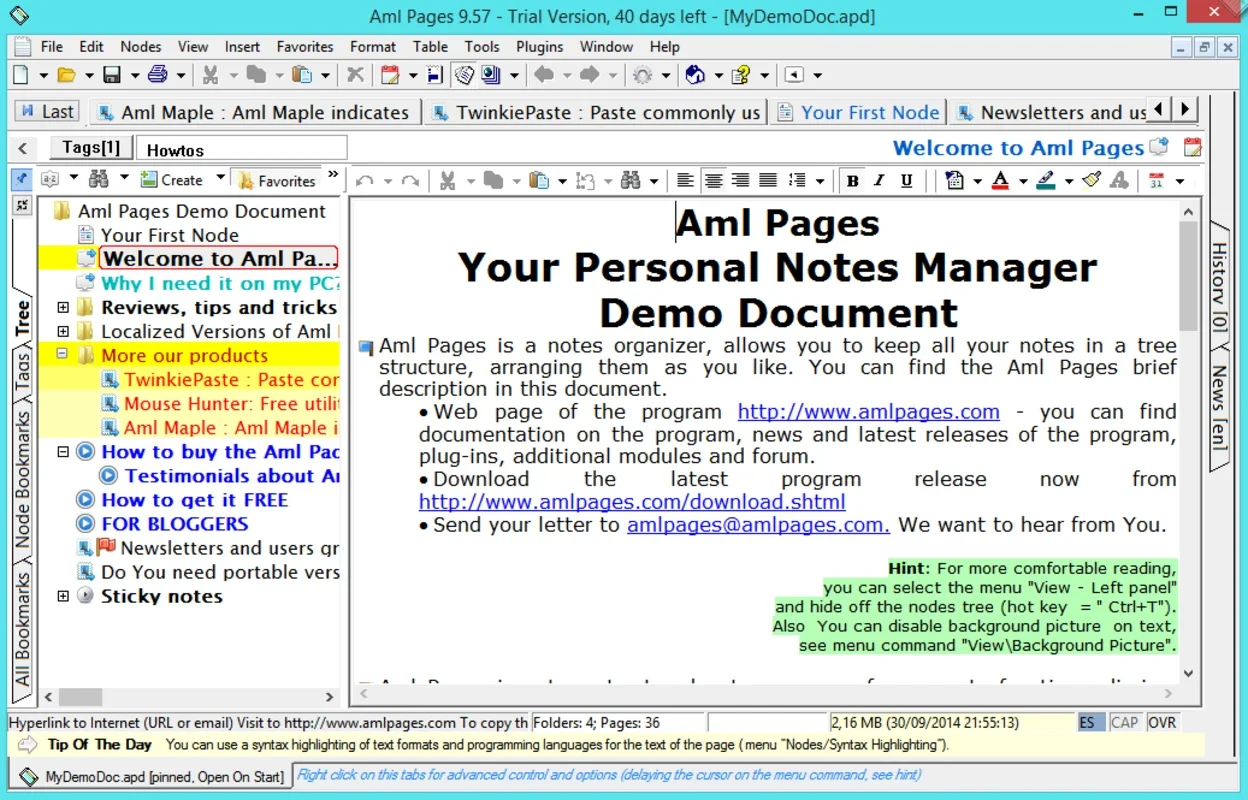 Aml Pages for Windows: Efficient Note and Document Organization