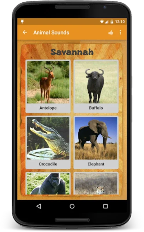 Animal Sounds for Android - Immersive Auditory Adventure