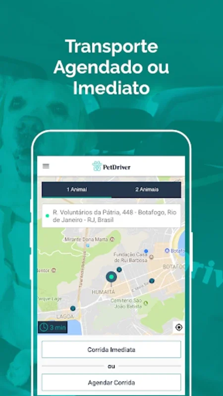 PetDriver for Android: Pet-Friendly Transport in Brazil