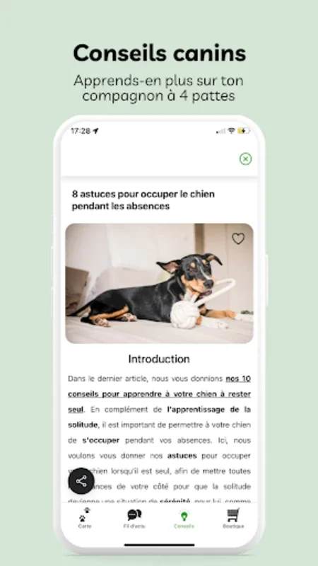 MyDogSociety - Balade de chien for Android: Connect & Explore