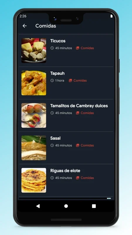 Honduran Recipes - Food App for Android: Diverse Culinary Delights