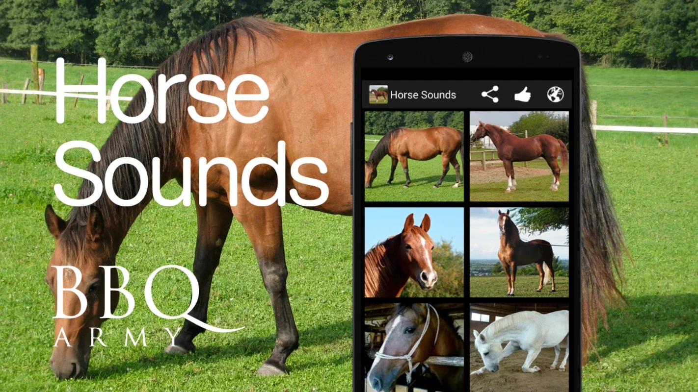 Horse Sounds for Android - Enjoy Elegant Horse Noises