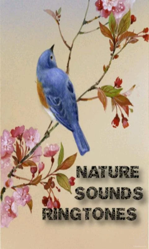 Nature Sounds Ringtones for Android: Serene Audio Experience