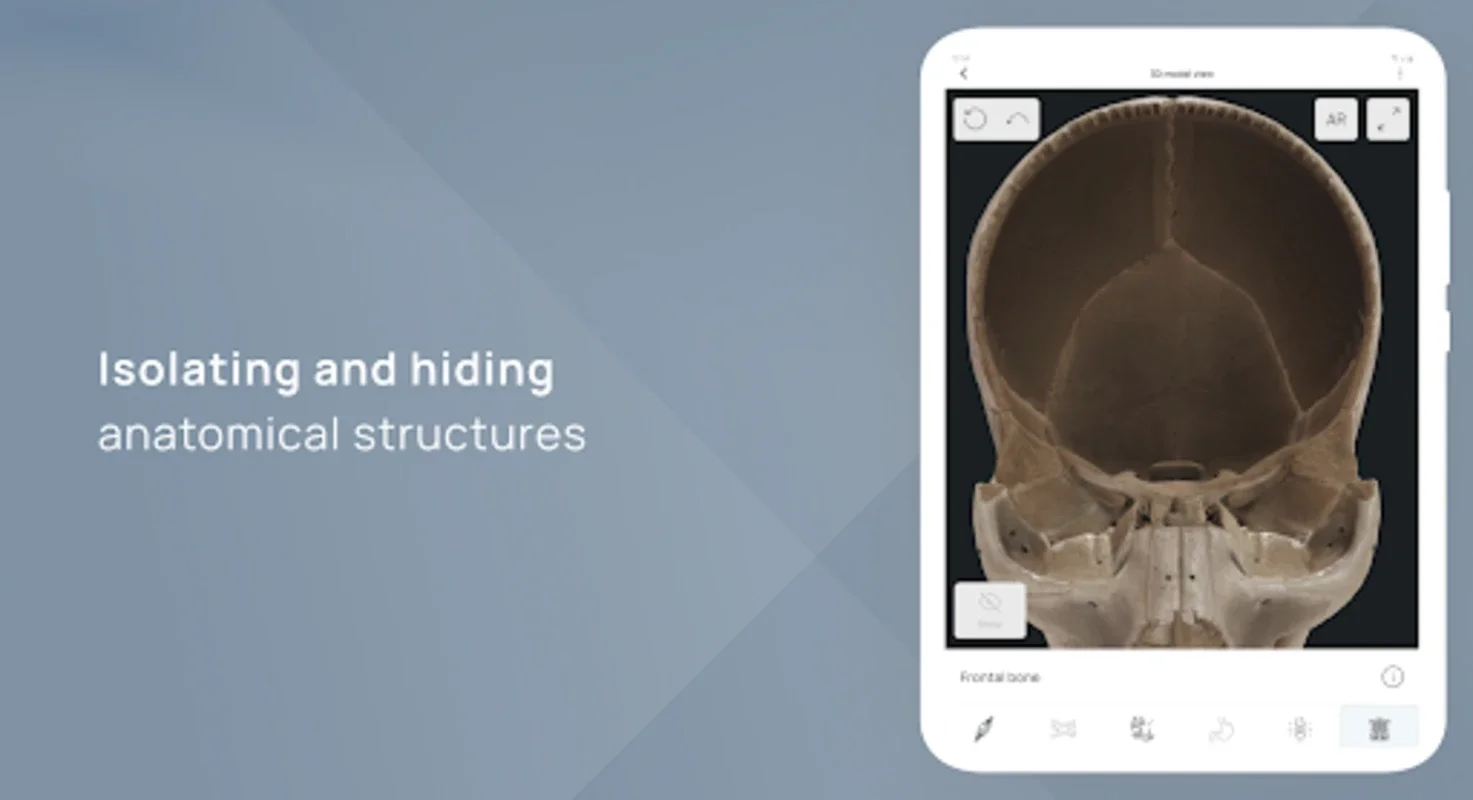 VOKA Pathology 3D for Android - No Downloading Needed! Explore 3D Anatomy