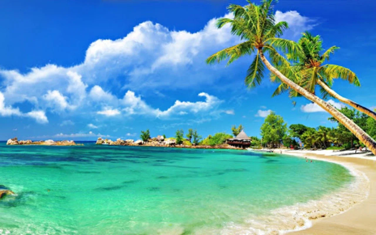 Beach Jigsaw Puzzles for Android: Relaxing & Engaging