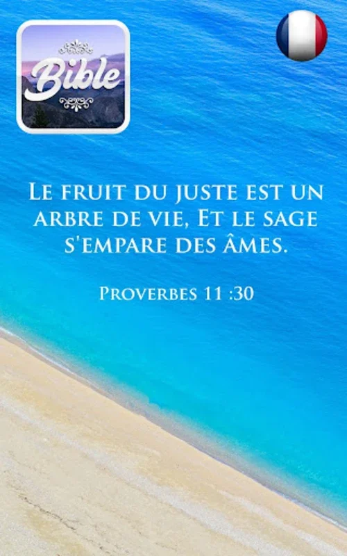 Louis Segond Bible for Android - Rich Spiritual Experience